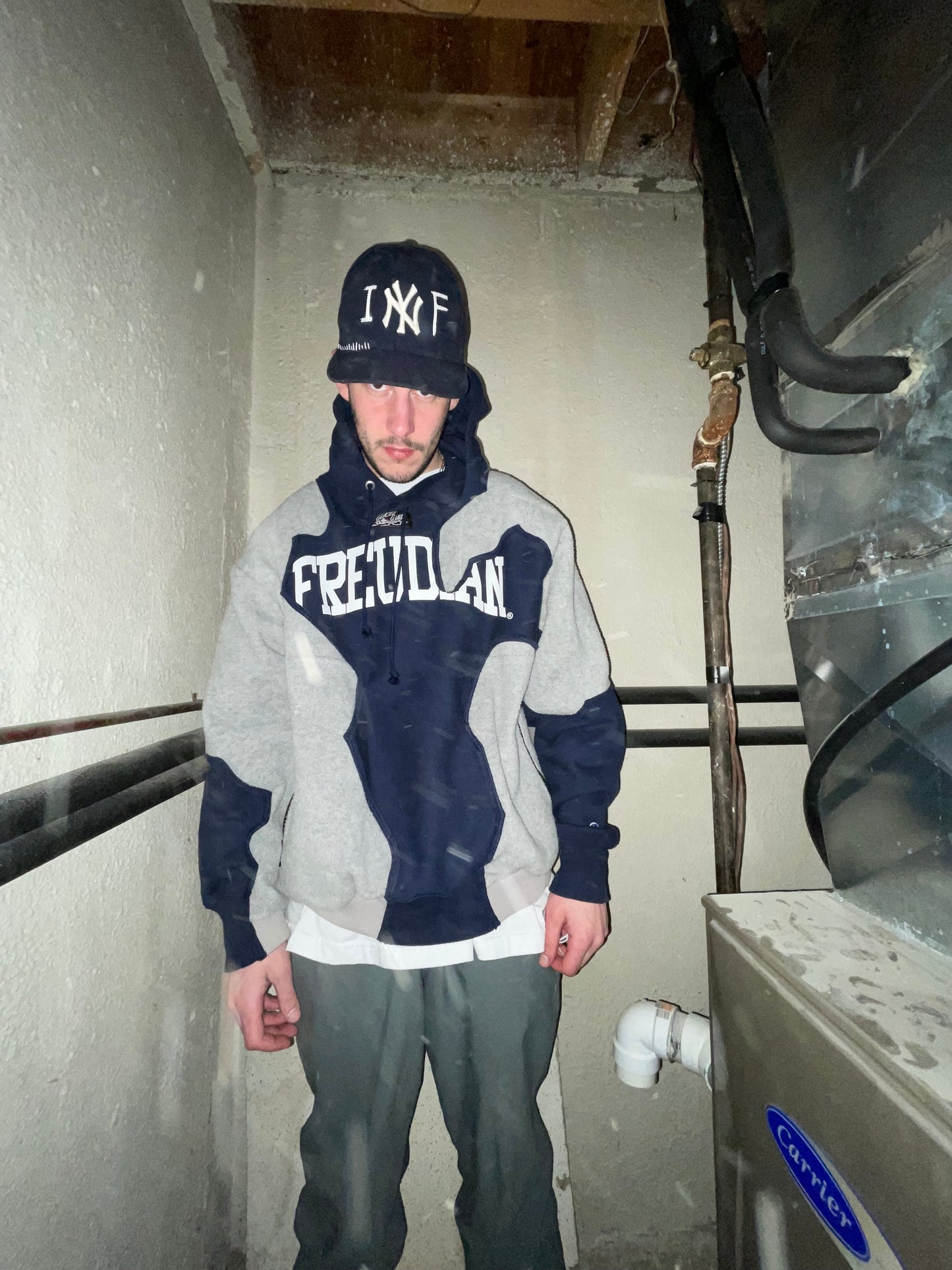 Freudian Hoodie image 1